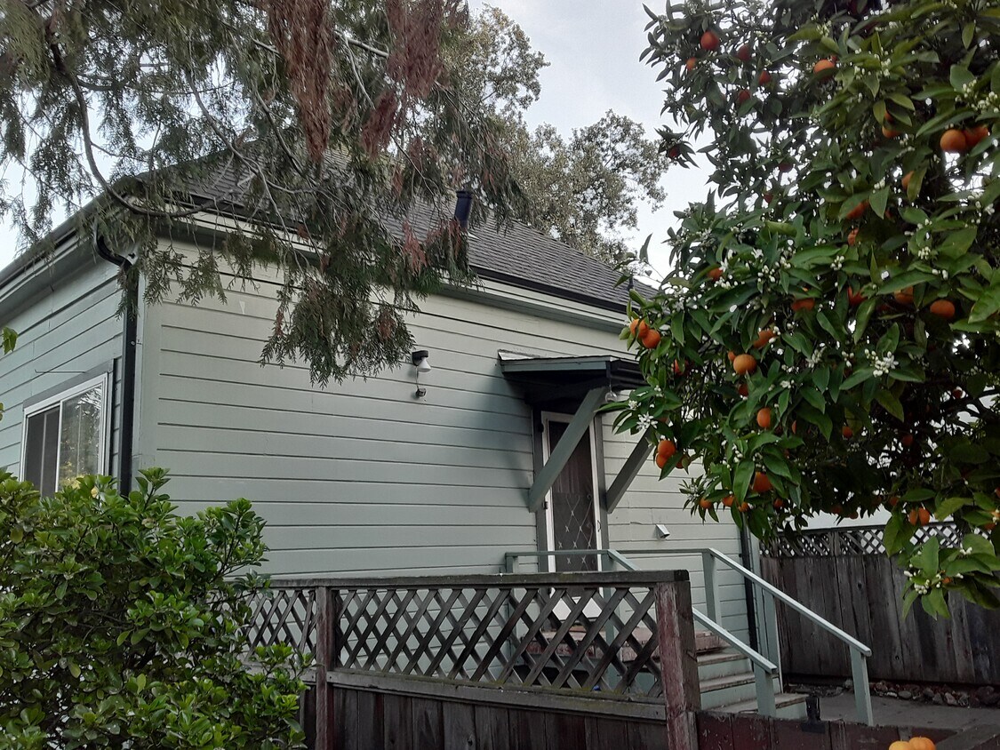 Entry from large, private yard - 971 Pershing Ave