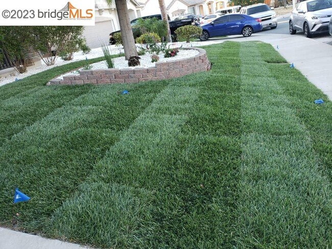 Foto del edificio - 3538 Mallard Way