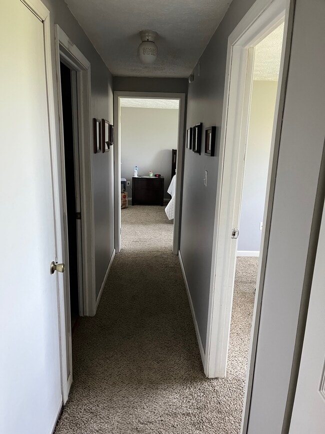 Building Photo - 27512 Evergreen Run