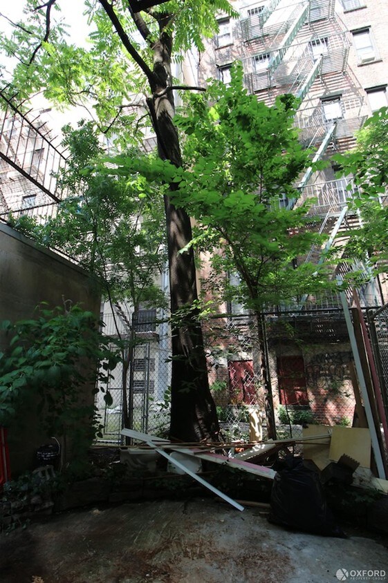 Primary Photo - 368 W 52nd St
