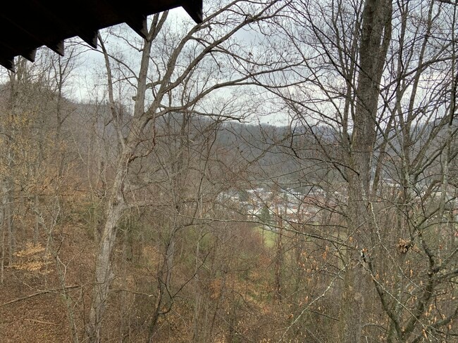 Deck View - 102 Smith Hl