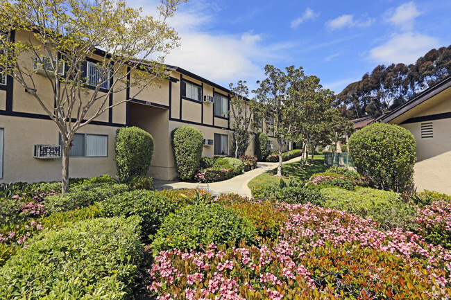 Courtyard - La Jolla Terrace