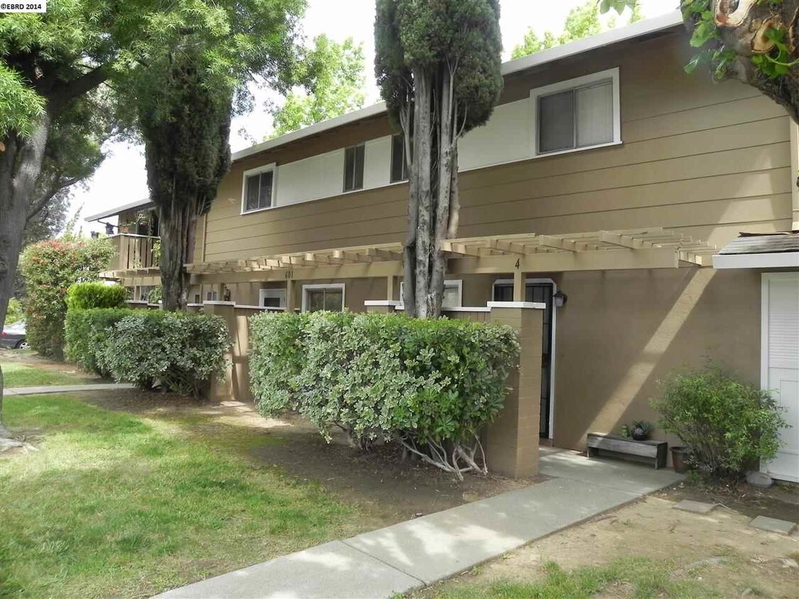 Primary Photo - 601 Alamo Dr