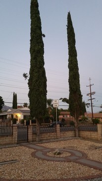 Front Yard - 12871 Glenoaks Blvd