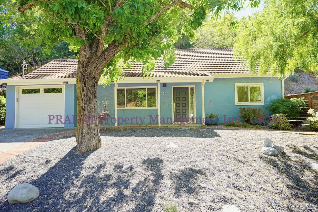 Primary Photo - 36 Olive Ave