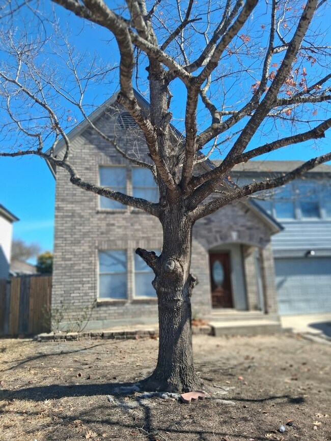 Foto del edificio - 874 Fillmore Dr