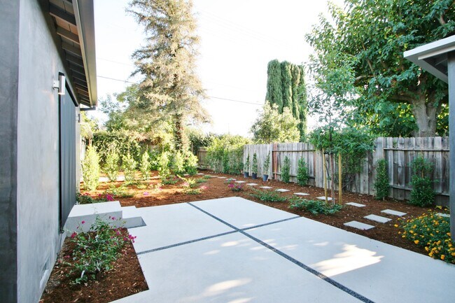 Back Yard - 23018 Leonora Dr