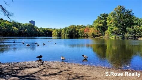 Leverett Pond - 77 Pond Ave