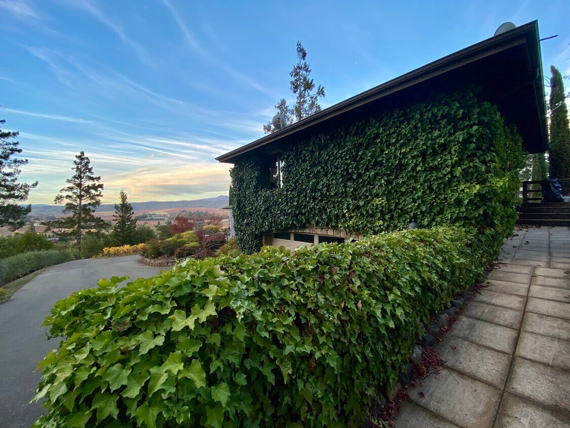 Foto principal - 3575 W Dry Creek Rd