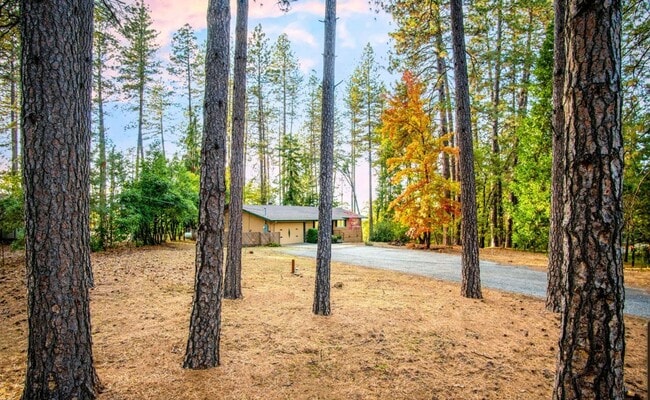 Building Photo - 3 Bedroom 1 Bathroom House Tucked in the T...
