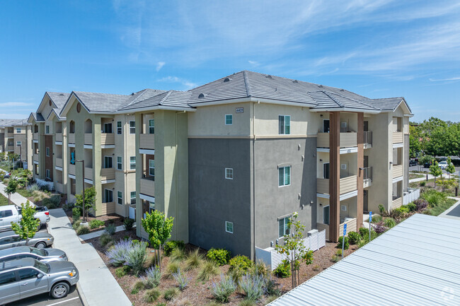 Building Photo - Arena Senior Apartments