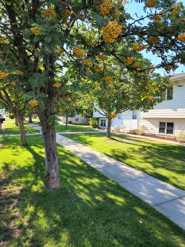 Building Photo - 2124 Billings Ave