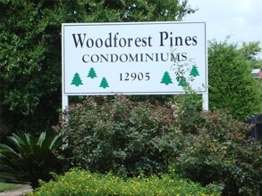 Building Photo - 12955 Woodforest Blvd