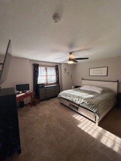 DORMITORIO PRINCIPAL - 2202 Pinehurst Dr