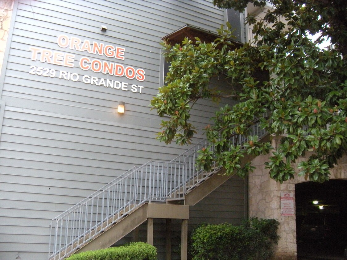 Primary Photo - K201 - Orange Tree #57