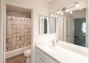 1BR,1BA -Bathroom - Summer Breeze Apartments