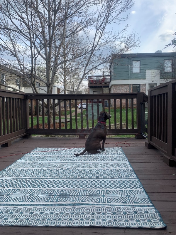 Photo - 940 Gale Ln Townhome