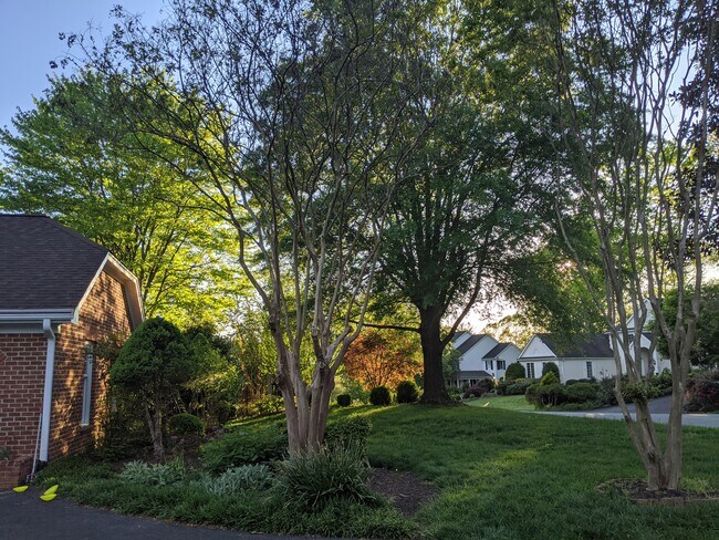 Building Photo - 3211 Wallingford Ln