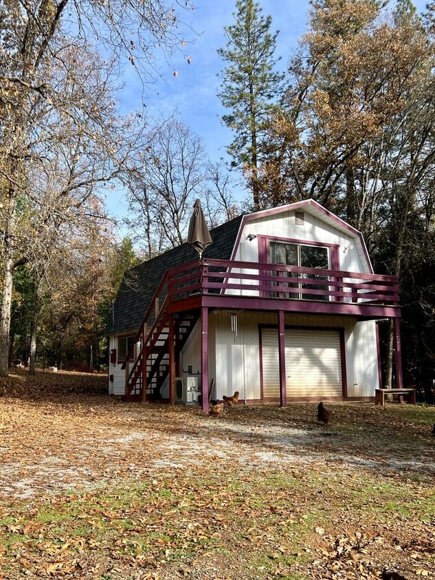 Primary Photo - Pine Grove Guest House for rent