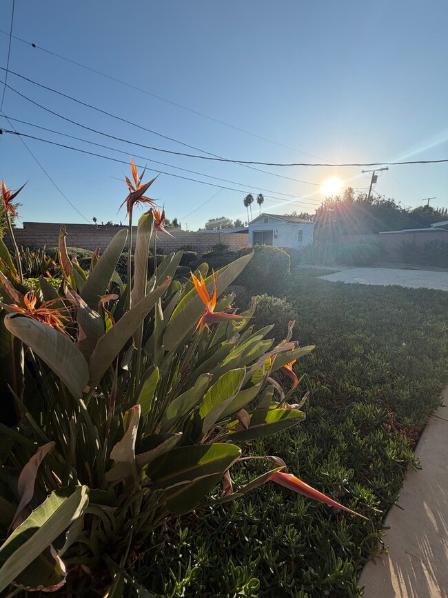 Foto del edificio - 20622 Archwood St