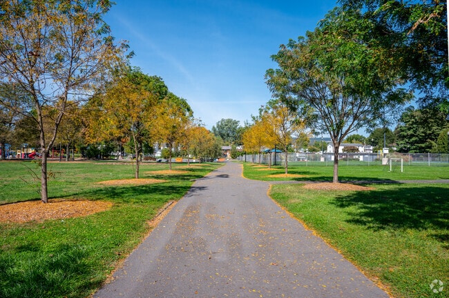 Take a stroll in the sun through one of the many trails of Kingston.