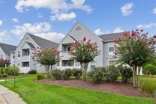 Building Photo - New Forest Apartments