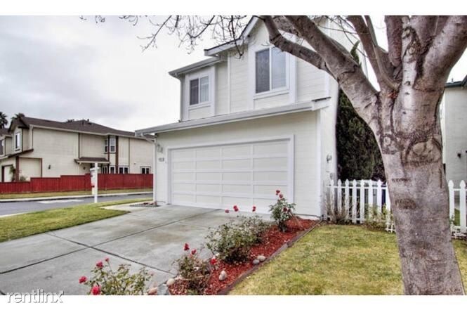 Primary Photo - 4 br, 2.5 bath House - 34691 Teal Cmn