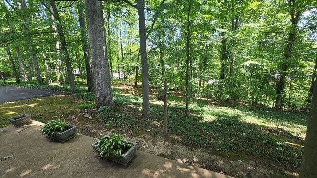 Foto del edificio - 4 Bed/2.5 Bath Brick Home - Kingsport TN