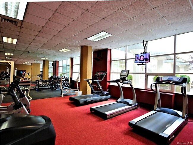 Gym - 10 Horton Ave