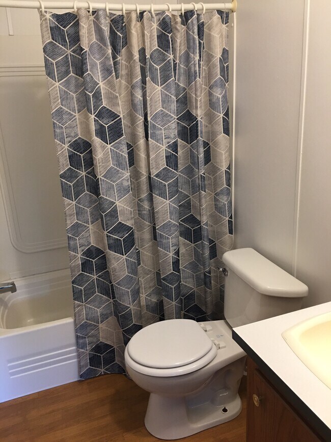 Full Guest Bath - 290 Altamont Rd