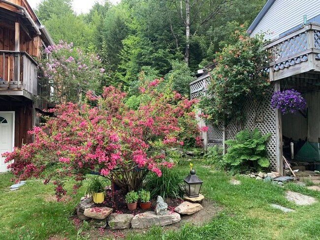 Foto del edificio - Charming 3BR House in Granville