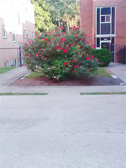 Foto del edificio - 1512 W North Bend Rd