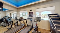 This fitness center is a thoughtfully designed, single-room exercise facility that makes efficient use of its compact footprint. The space is immediately distinguished by its striking sky-blue painted ceiling, which adds a vibrant, energizing ambiance to the room. Light wood-style flooring runs throughout, complementing the clean, neutral-toned walls.

Natural light floods the room through multiple windows fitted with roll-down shades, offering views of an outdoor pool area and landscaped grounds featuring palm trees and arched architectural details. Full-length wall mirrors further enhance the sense of openness and allow users to monitor their form during workouts.

The cardio section is well-stocked with Matrix treadmills, stationary upright and recumbent bikes, and an elliptical machine. A Jacob's Ladder stair climber provides a distinctive and challenging training option. The strength training area includes a multi-functional cable machine, a full rack of dumbbells, a weight bench, stability balls, and exercise mats. A large wall-mounted flat-screen television is positioned for easy viewing from the cardio equipment.

The facility operates 24 hours and offers WiFi connectivity. Access is provided through glass-paneled double doors. The overall atmosphere is bright, clean, and purpose-built to support a comprehensive workout experience.