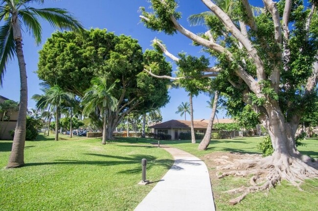 Foto del edificio - 15 Kulanihakoi St