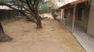 Front yard - 2841 N Euclid Ave