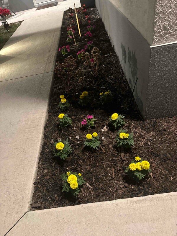 Foto del edificio - 304 Preston St