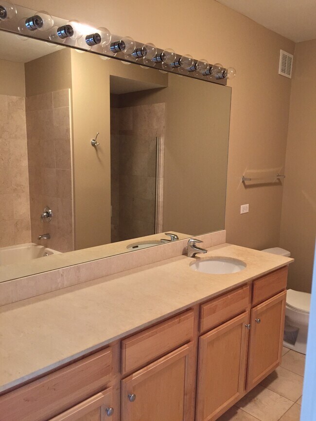 Master Bath - 1160 S Michigan Ave