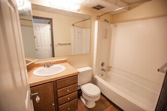 Interior Photo - Tree Tops Apartments