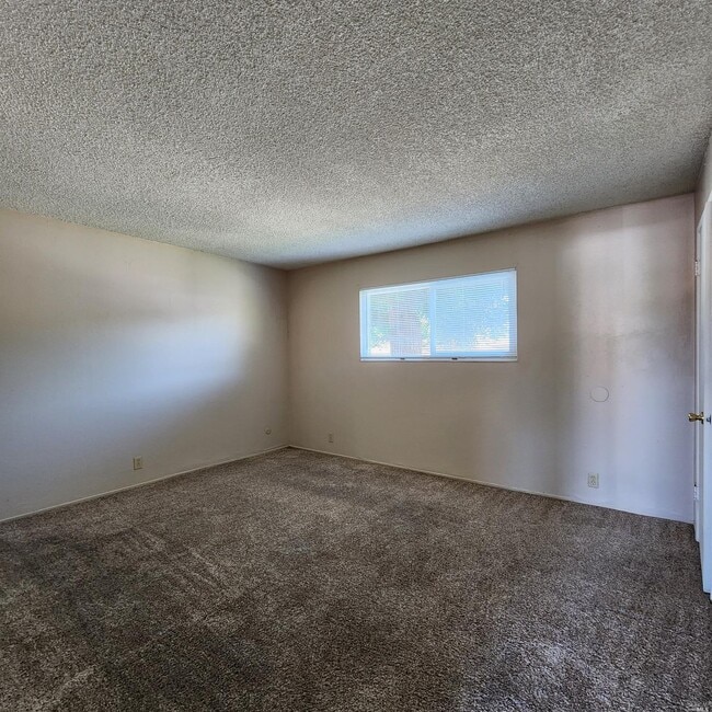 Building Photo - 1567 Alamo Dr