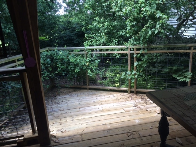 back deck - 120 Claremont Ave