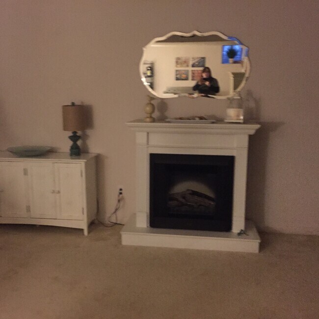 Fireplace - 2929 Alconbury Ct