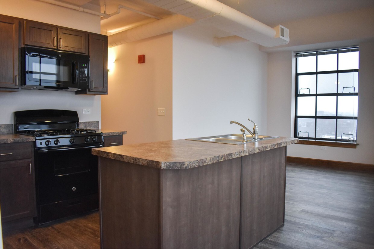 100 E Chicago St Unit 1002, Elgin, IL 60120 Apartment for Rent in