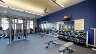 This fitness center offers a comprehensive workout environment designed to accommodate a variety of exercise needs. The space is defined by bold navy blue accent walls paired with light-toned flooring and white ceilings, creating a motivating and energetic atmosphere. Large mirrors line one wall, visually expanding the room while allowing users to monitor their form during exercise.

The strength training area is well-stocked with a full rack of dumbbells spanning a wide range of weights, complemented by multiple Matrix-branded adjustable benches positioned throughout the floor space. Cable and multi-use strength machines are arranged along the perimeter, providing options for a thorough resistance training session. Cardio equipment, including treadmills and stationary units with integrated digital displays, lines the back of the room.

Overhead, dual ceiling fans ensure consistent air circulation throughout the space, contributing to comfort during intense workouts. Recessed and track lighting provides bright, even illumination across the entire area. A wall-mounted flat-screen television adds an entertainment element to the space. Natural light filters in through windows along one wall, further enhancing the open and welcoming feel of this fitness facility.