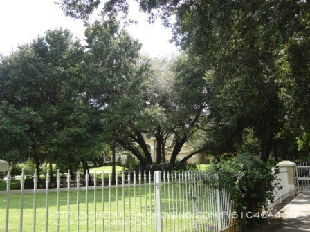 Building Photo - 5140 N Apopka Vineland Rd