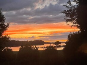 Building Photo - 16015 Kelly Park Cir