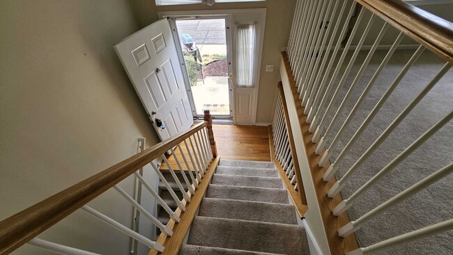 Building Photo - 955 Elderberry Cir