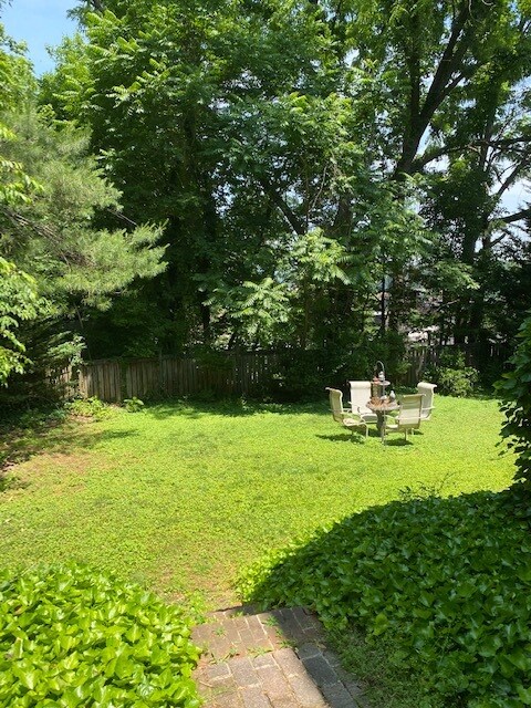 Back Garden Area - 405 Washington St