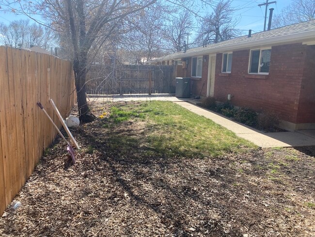Backyard. - 815 Canyon Rd
