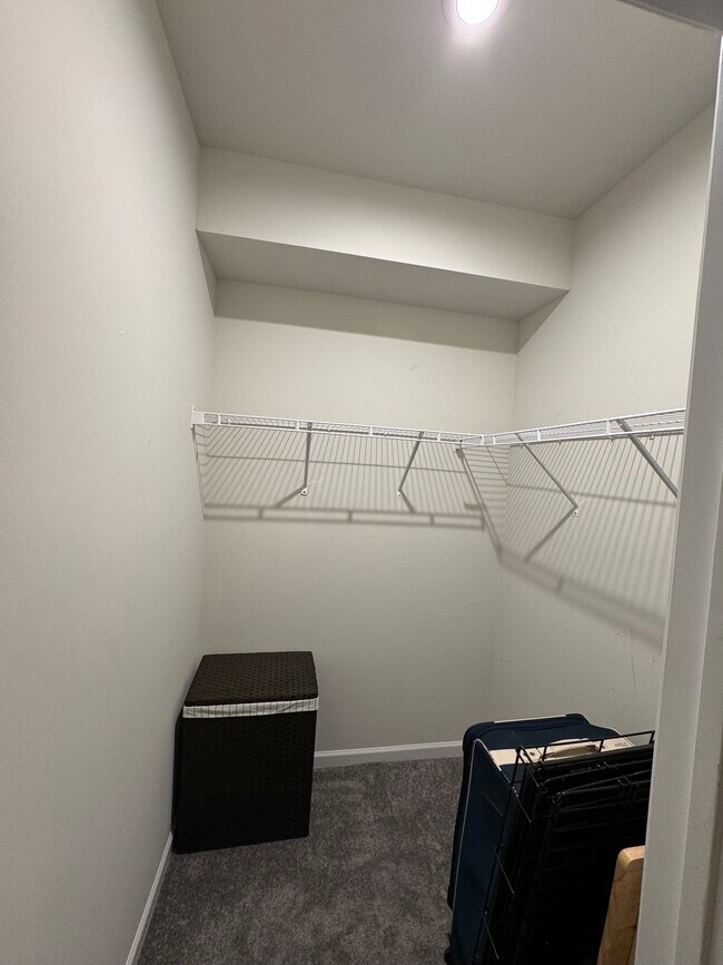 1st floor bedroom walk in closet - 205 Rock Run Cir