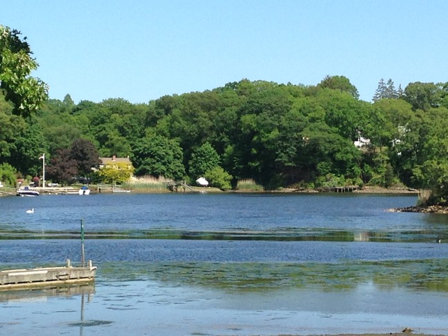 Cove From Rear Deck - 123 Old Norwich Rd